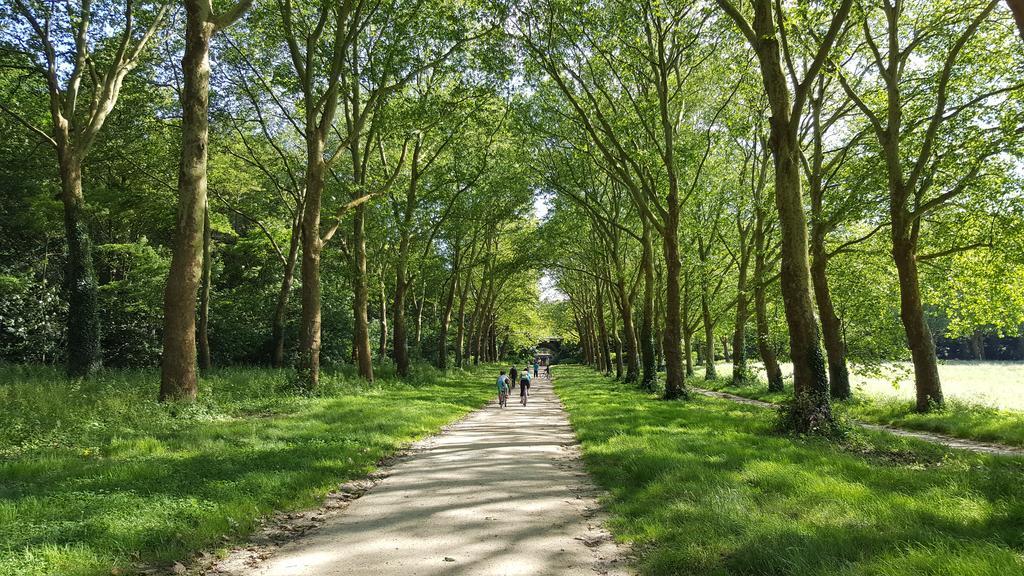 Les Carres Leilighet Versailles Eksteriør bilde
