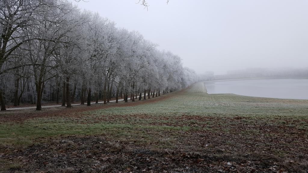 Les Carres Leilighet Versailles Eksteriør bilde